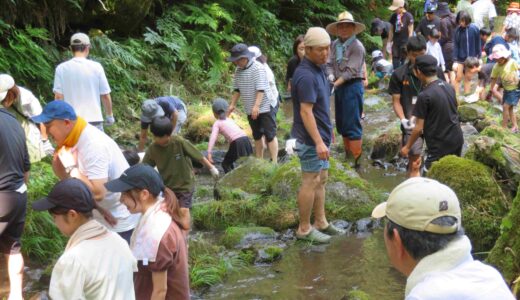 7月27日 「別俣の川であそんで自然観察をしよう」
