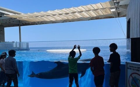 7月30日（水）土曜こどもくらぶ夏休み冒険旅行「上越水族館うみがたり」